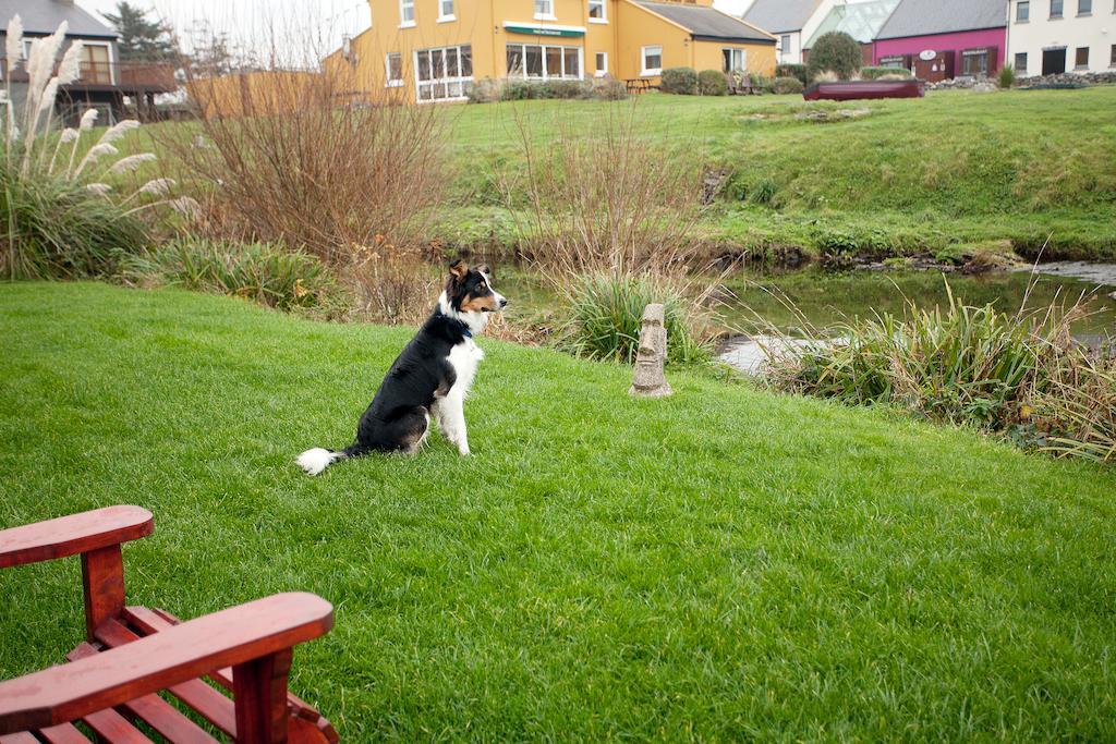 Aille River Tourist Hostel And Camping Doolin Ngoại thất bức ảnh